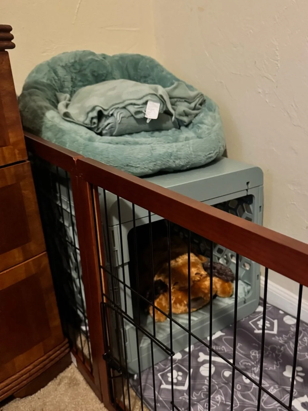kindtail Collapsible Dog Crate & Crate Pad